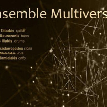 Ensemble Multiverse