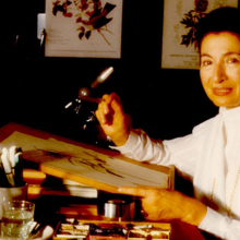 nikh goulandri ianos