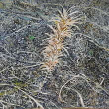 maria vasilaki gallery 7