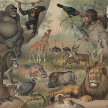 «The Sea Between my Soul» στη Στέγη του Ιδρύματος Ωνάση