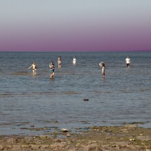 ©Nova Melancolia Gallery