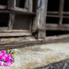 Εικόνες Ελπίδας: Ομαδική έκθεση 21 εφήβων, προσφύγων φωτογράφων