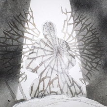 «Ο κρίνος της Παναγίας»