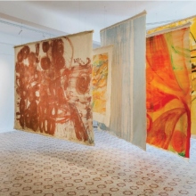 «Fate of a cell / Η Τύχη ενός» στο Παλαιοπωλείο Μαρτίνος