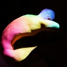 Κωστής Φωκάς 