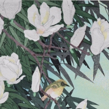 Μεταξύ ουρανού και γης