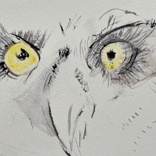 Μάρω Μιχαλακάκου