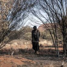 Natura Transita: Έκθεση περιβαλλοντικής φωτογραφίας του Γιάννη Τζώρτζη