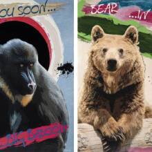 «Animal Teaser» της Marielle Pteroudis στην Αίθουσα Τέχνης Αθηνών