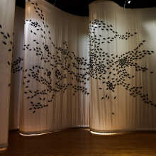 Capten: «Cockroaches – Κατσαρίδες» στο ΠΟΛΥΤΡΟΠΟΝ