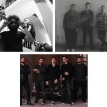 Reversed, Drunk Jackals, Birds of Vale