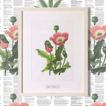 «O Αφρός των ημερών» στην γκαλερί 7