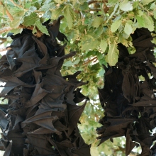 Ρακόρ / Continuity: Έκθεση της Ντόρας Οικονόμου στο Ολύμπια