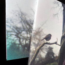 Λίνα Στεφάνου «Κρακ / Τα δάκρυα της πόλης», εκδόσεις NOMAS BIBLIA