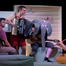 enas elefantas sto domatio megaro mousikis athinon