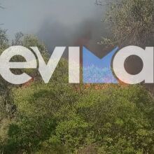 Χωρίς ενεργό μέτωπο η φωτιά στα Πολιτικά Ευβοίας
