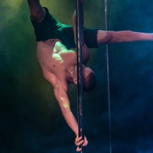 Pole dancer 