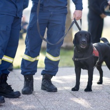 Έρευνες με σκύλο από την ΕΜΑΚ για αγνοούμενο