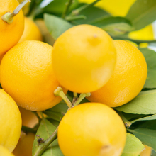 6+1 τρόποι να καθαρίσεις το σπίτι με ένα λεμόνι