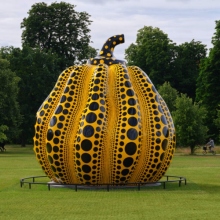 κολοκύθα Yayoi Kusama 