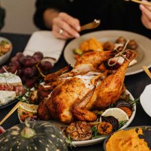 Γαλοπούλα: όλα όσα πρέπει να ξέρεις για να μαγειρέψεις το πουλί της γιορτής