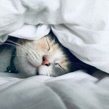 Τα πολλά μυστικά και οφέλη του ύπνου που αγνοούμε