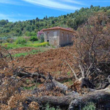 Καθαρίζω το χωράφι μου, ας εισβάλλω και στου γείτονα