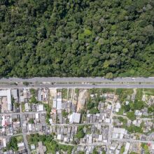 Η ρύπανση στον Αμαζόνιο χειρότερη από το Λονδίνο και το Πεκίνο - Νέα δεδομένα της Greenpeace - Aιτία η βιομηχανική κτηνοτροφία. 