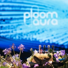 Ploom