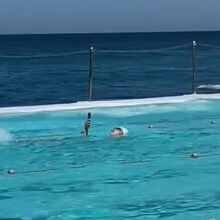 athensvoice_-_2025-12-03t174848_534