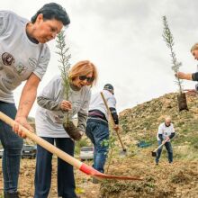 Φύτεψε σήμερα – Ανάπνευσε Αύριο: Η Σέριφος πρωτοπορεί στην αντιμετώπιση της κλιματικής κρίσης