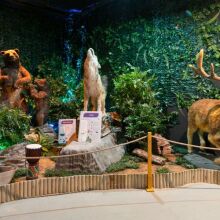 Eco Zoo: Ο νέος ζωολογικός κήπος με ζώα δίχως αιχμαλωσία, στο Village shopping & more