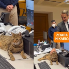 Ο Κυριάκος Μητσοτάκης στο Μέγαρο Μαξίμου με τη γατούλα Κλειώ