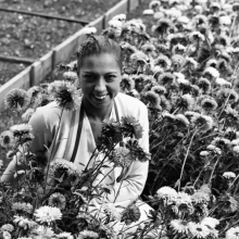 Η Τζόζεφιν Μπέικερ