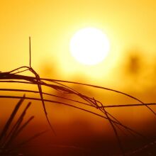 Copernicus: Ο Ιανουάριος του 2026 ήταν ο 5ος θερμότερος που καταγράφτηκε ποτέ