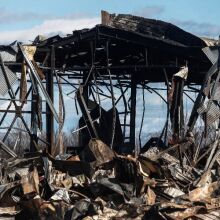 Βιολάντα: Το αλαλούμ των πιστοποιήσεων και η δεξαμενή «φάντασμα»