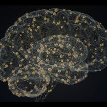 Η Ευρώπη αλλάζει πορεία στην υγεία του Εγκεφάλου – και η Ελλάδα χρειάζεται Εθνικό Σχέδιο 