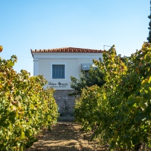 κτημα_αβαντις