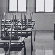 Εκπαιδεύοντας καθαρματάκια