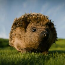 Γερμανοί δήμαρχοι ζητούν απαγόρευση νυχτερινής χρήσης ρομποτικών χλοοκοπτικών, καθώς απειλούν σκαντζόχοιρους © Unsplash+/A Chosen Soul