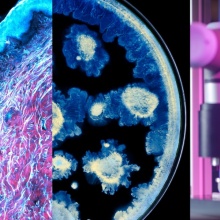 loreal_x_institut_pasteur_-__loreal