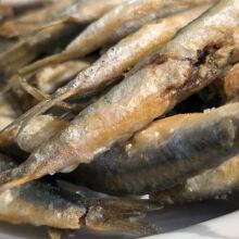 Ουζερί της Άννας