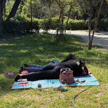 Σε βλέπω να λιάζεσαι σαν σαύρα