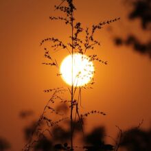 Ελ Νίνιο: Πιθανή επιστροφή από το καλοκαίρι 2026 – Υψηλότερες θερμοκρασίες παγκοσμίως