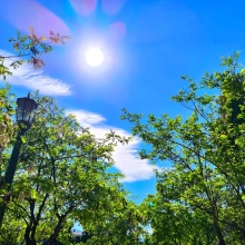 Λίγα σύννεφα πάνω από δέντρα