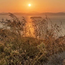 Τζούντιθ Άλλεν Ευσταθίου: Τα ανθισμένα μονοπάτια της Κέας