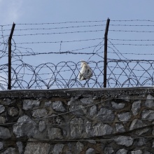 Κάγκελα και συρματοπλέγματα φυλακών