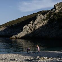 Επέστρεψαν οι μέδουσες στον Ευβοϊκό: Πώς μπορείτε να βλέπετε σε ποιες παραλίες βρίσκονται 