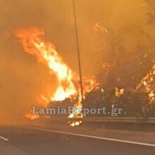 Συνεχίζεται η μάχη με τις φλόγες στο Ακραιφνίο Βοιωτίας - Έκλεισε η εθνική, πού εκτρέπεται η κυκλοφορία