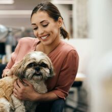 Νέα έρευνα της Mars: Οι pet-friendly χώροι εργασίας κερδίζουν έδαφος - Η Gen Z και οι Millennials οδηγούν την αλλαγή 